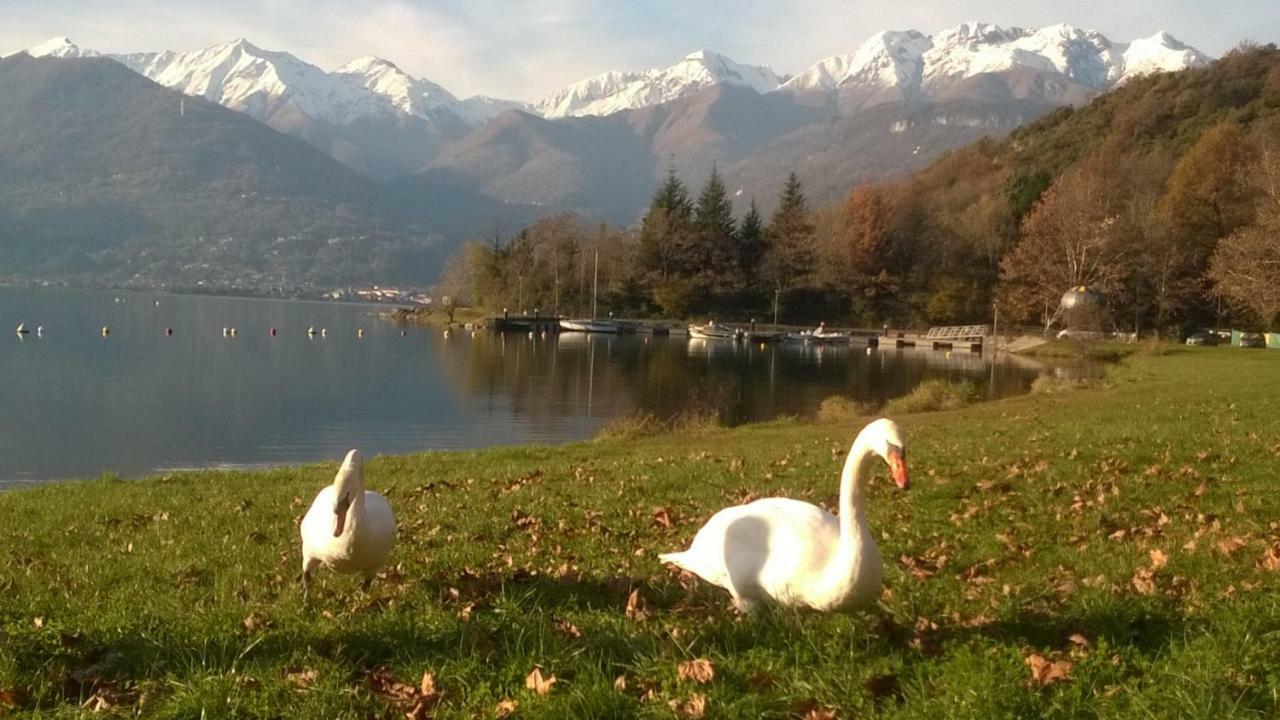 Al Molin B&B Colico Exteriér fotografie